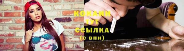 СК Зерноград