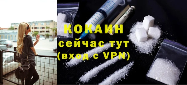 СК Зерноград