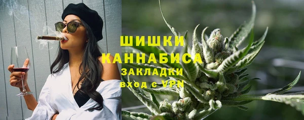 СК Зерноград