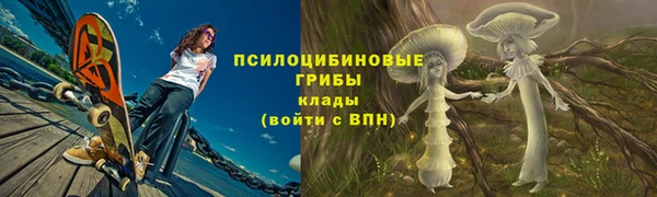 СК Зерноград